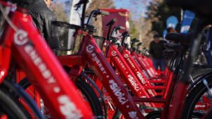 sibici