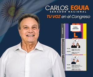 CARLOS LM 300 X 250