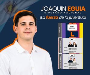 JOAQUIN LM 300 X 250