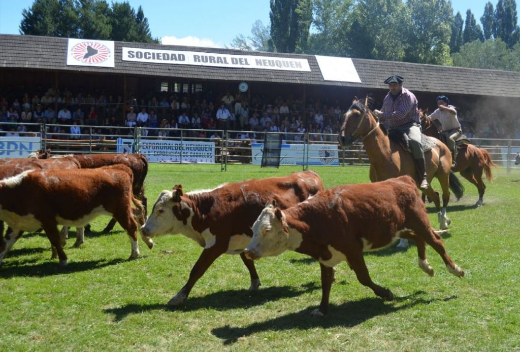 Sociedad-Rural-del-Neuquén