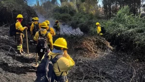 brigadistas-bosques-incendio
