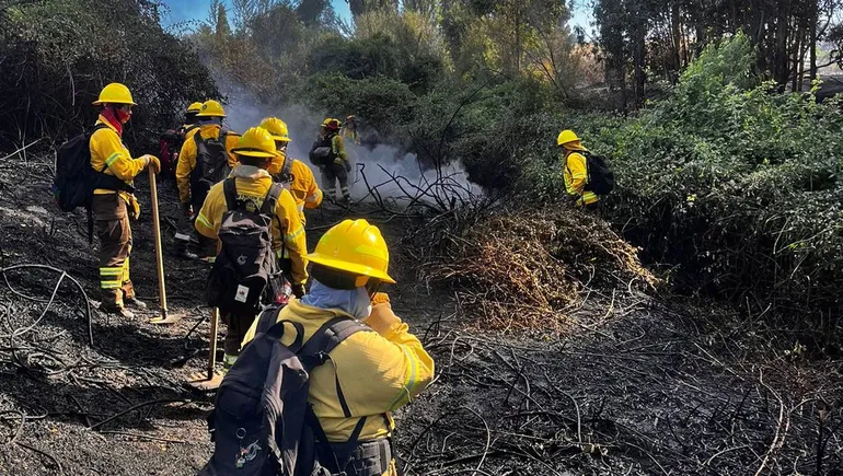 brigadistas-bosques-incendio