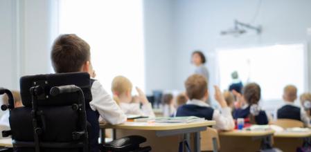 discapacidad-inclusion