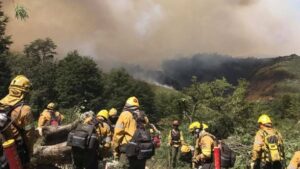 incendio-brigradistas