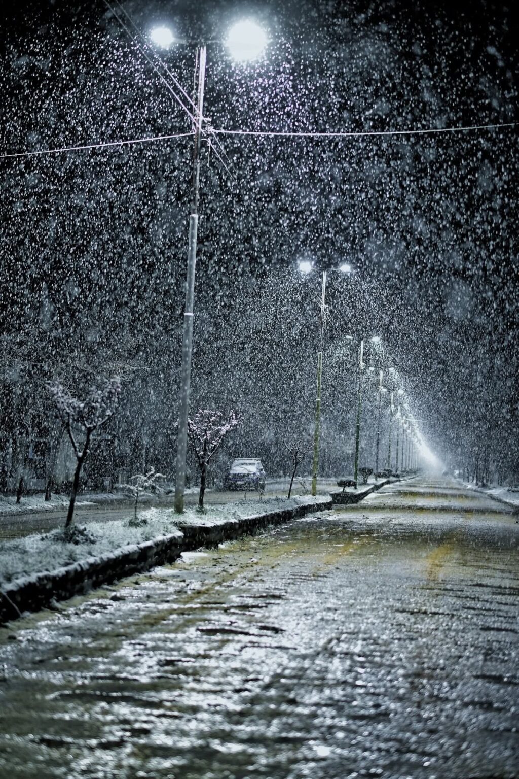 nieve