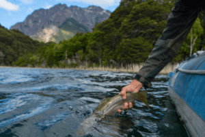pesca