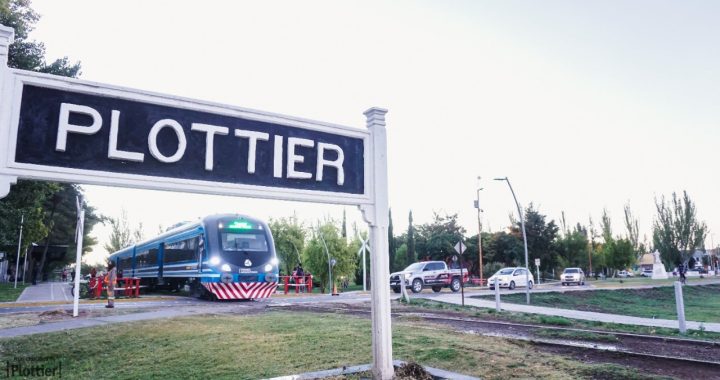 plottier