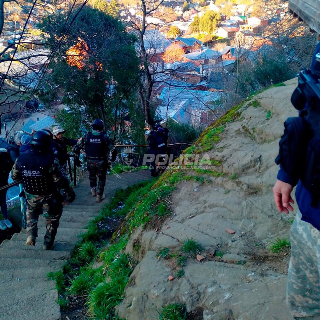 policiales