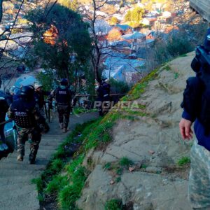 policiales