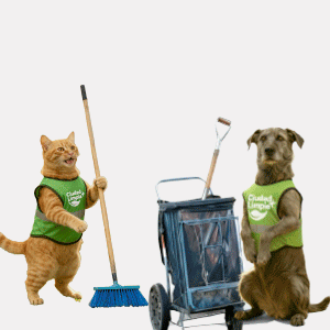 BANNER-WEB-DESCUENTO-NEUQUINO-300x300