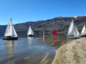 Regata-del-Pehuén