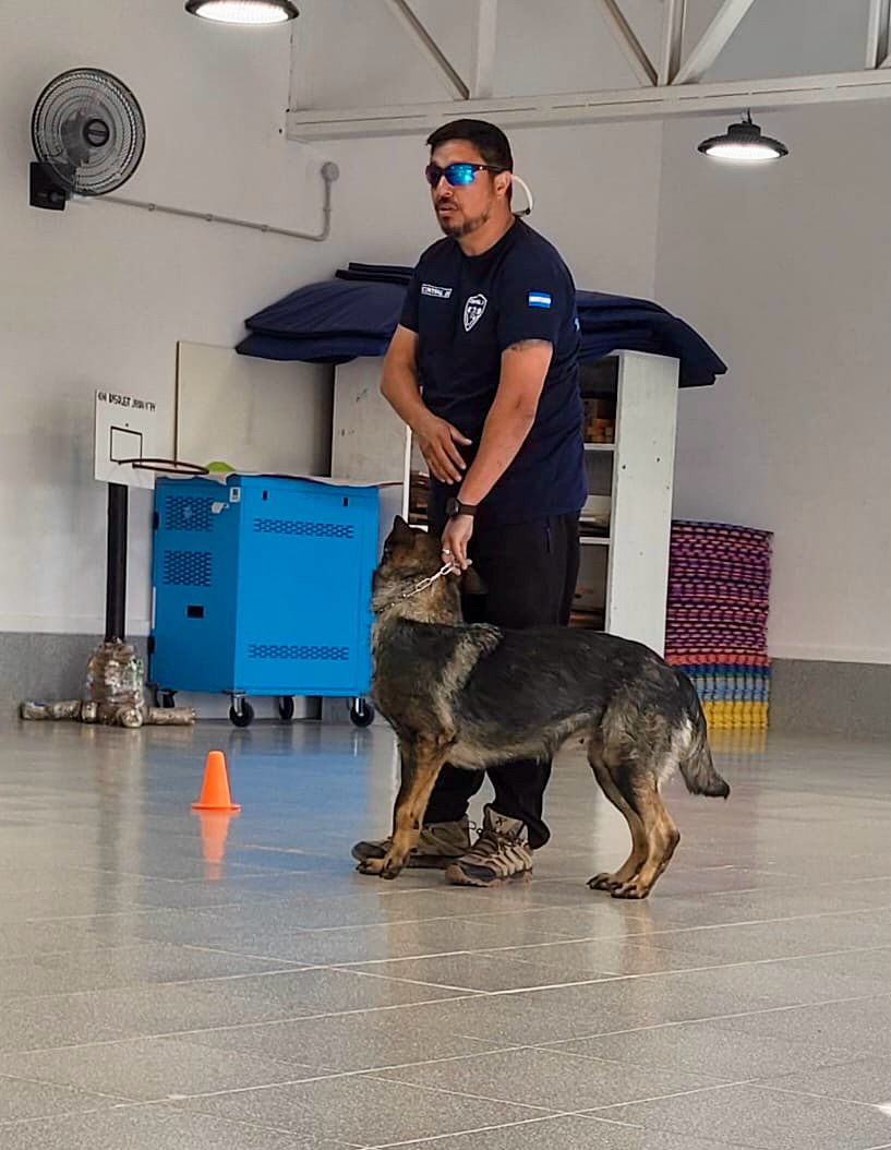 adiestramiento-canino