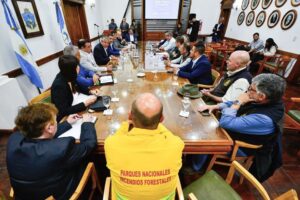 reunion_incendios_patagonia_en_neuquen