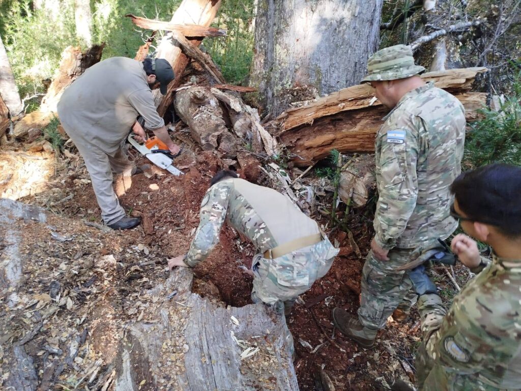 RIM-26-parque-nacional-lanin