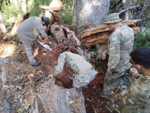 RIM-26-parque-nacional-lanin