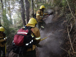 incendios-parque-nacional