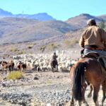 Asistencia económica para la trashumancia