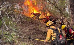 brigadista-incendio