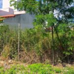 Endurecen sanciones por baldíos sin mantenimiento