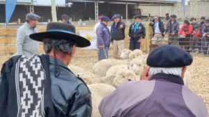 Feria-Producción-zapala