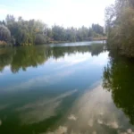 Relevamiento ambiental por peces muertos en la Laguna del Toro