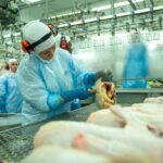 Argentina vuelve a exportar carne aviar a Europa