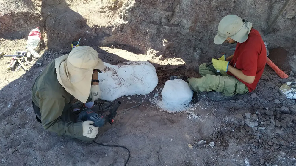 dinosaurios-acorazados