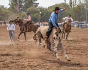 fiesta-chacarero-picun