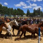 El Cholar celebra la Fiesta Provincial del Ñaco
