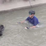 Se lanzó al agua y logró salvar al perro arrastrado por la corriente