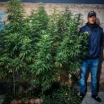 Desarticulan dos puntos de venta de drogas en Cipolletti