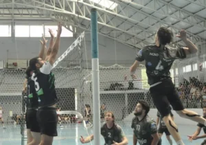 voley