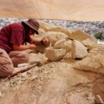 Descubren fósiles de un cocodrilo prehistórico en la Patagonia