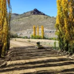 Ruta 23: continúan trabajos clave entre Rahue y Pilo Lil