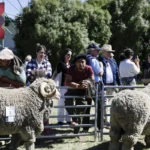 Zapala presenta la Fiesta Integral de la Producción