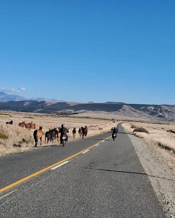 caballos-ruta