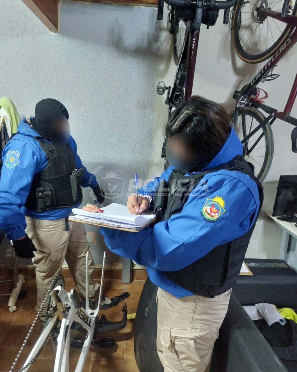 policiales