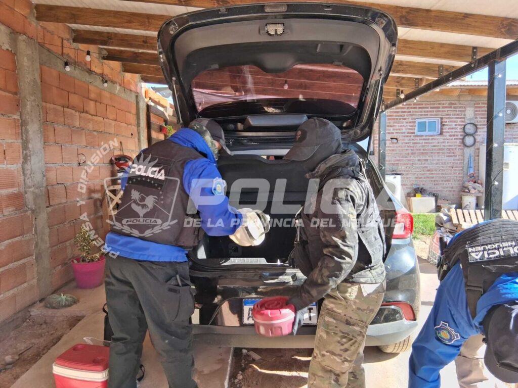 policiales