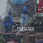 Fiscal ordena allanamiento por presunta crueldad animal