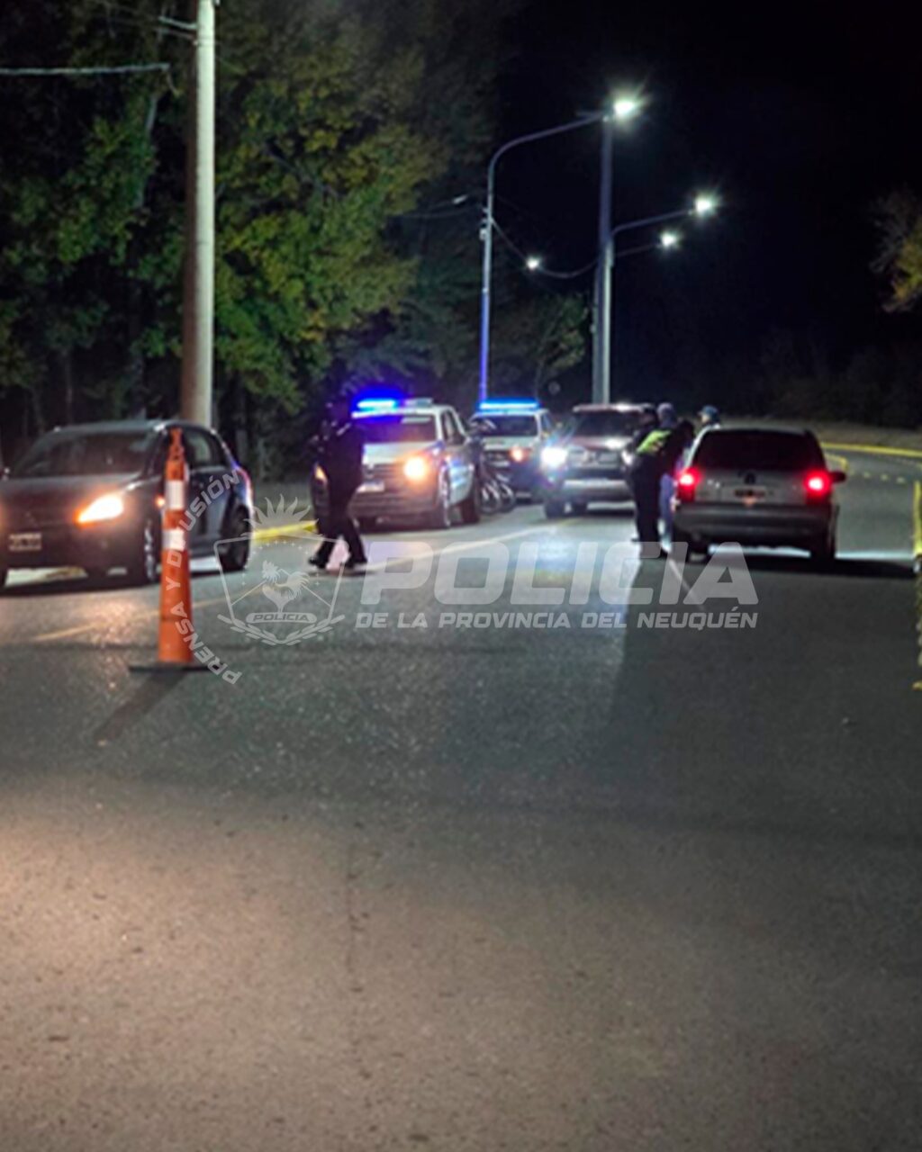policiales