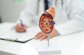 renal