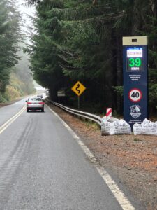 totem-puerto-arauco