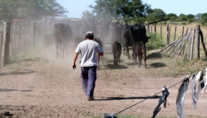 trabajador-rural