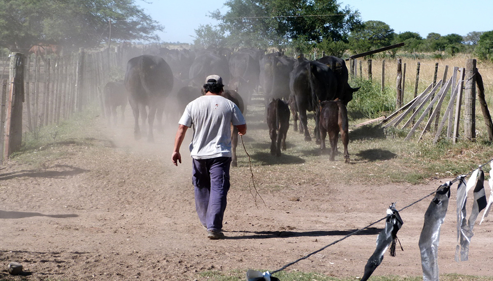 trabajador-rural