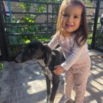 Con solo dos años, ya tiene una misión: cuidar animales