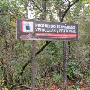 area-restringida-parque-lanin