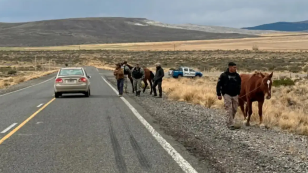 caballos-sueltos-ruta