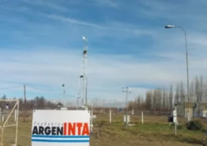 inta