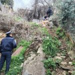 La Justicia ordenó un allanamiento por un caso de maltrato animal