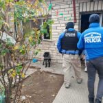 Rescataron a un pitbull tras una denuncia por maltrato